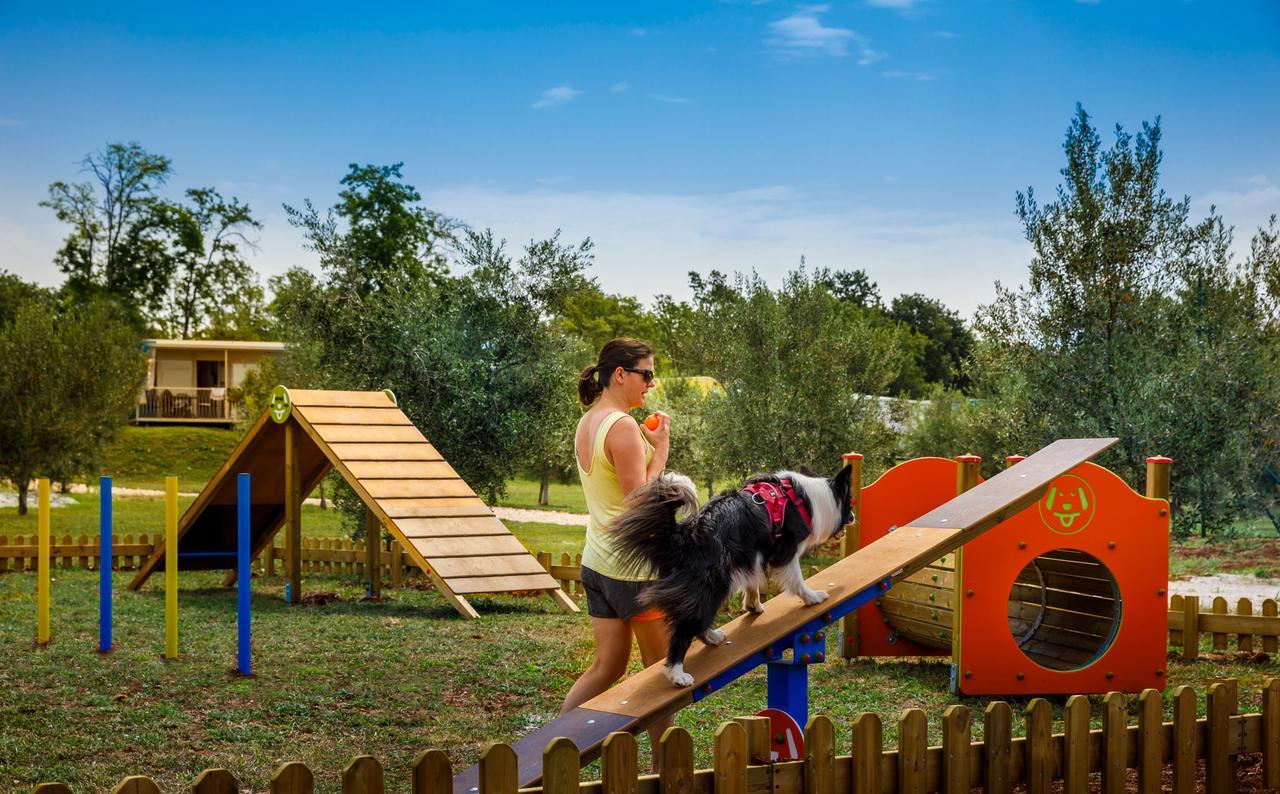Aminess Maravea Camping Resort Holiday Homes Новиград Экстерьер фото